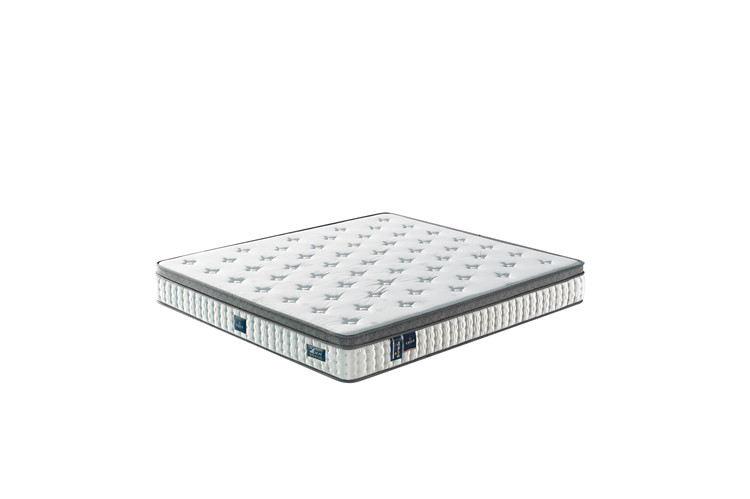MD30A  25cm 眠享A 指导价：6899.00元